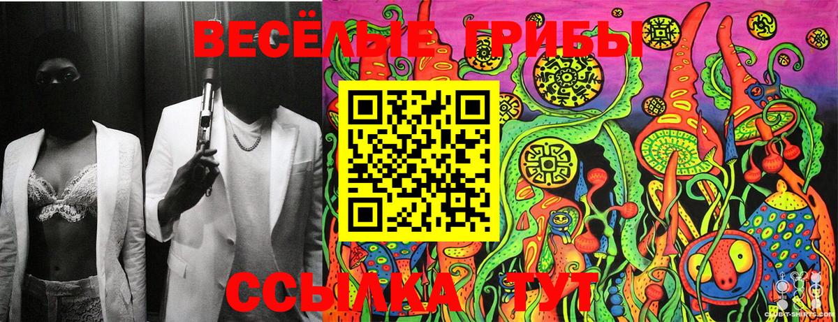Меф МЯУ МЯУ   Бошки Шишки  LSD-25  Вход с VPN  Избербаш  COCAIN 