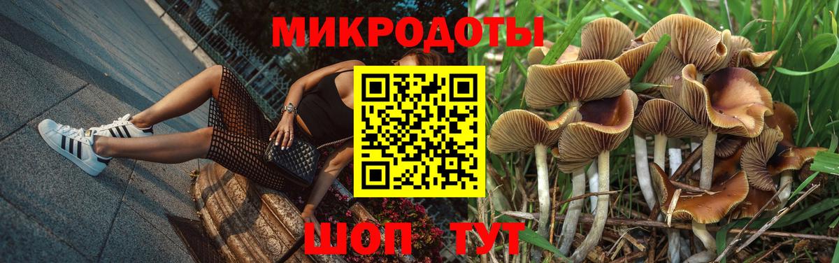 Галлюциногенные грибы Cubensis Избербаш
